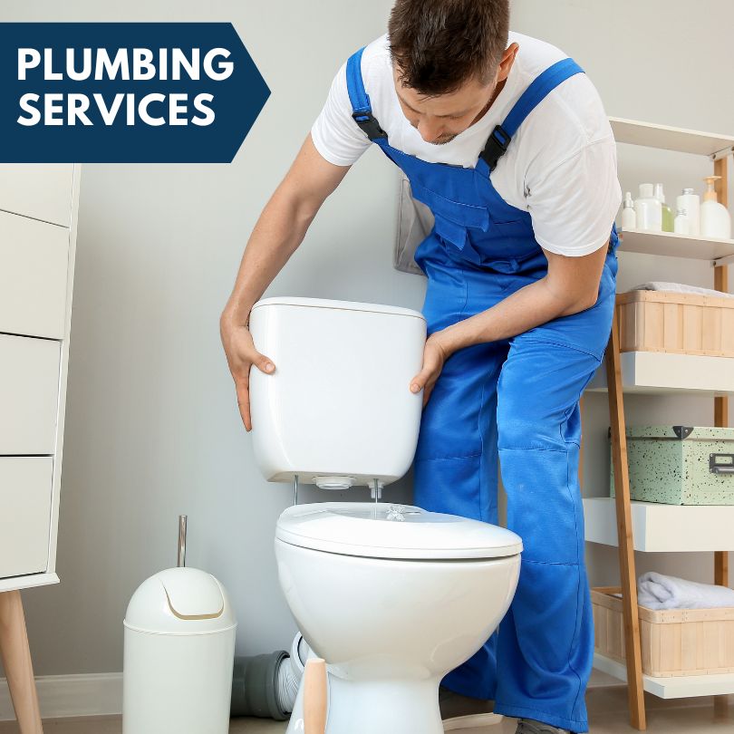 Plumbing Company in Williams, IA